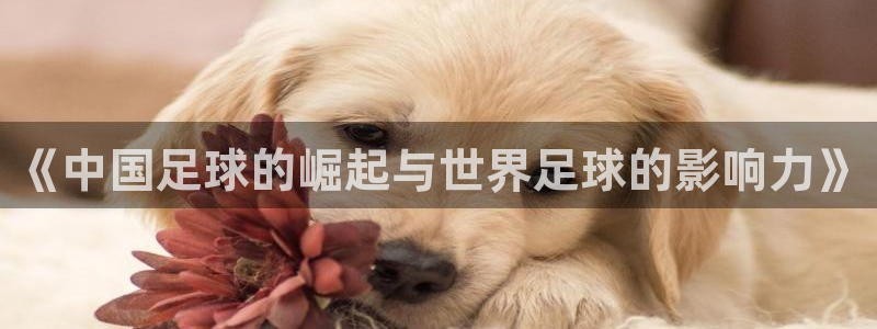 世界杯对阵图2026：《中国足球的崛起与世界足球的影响力》