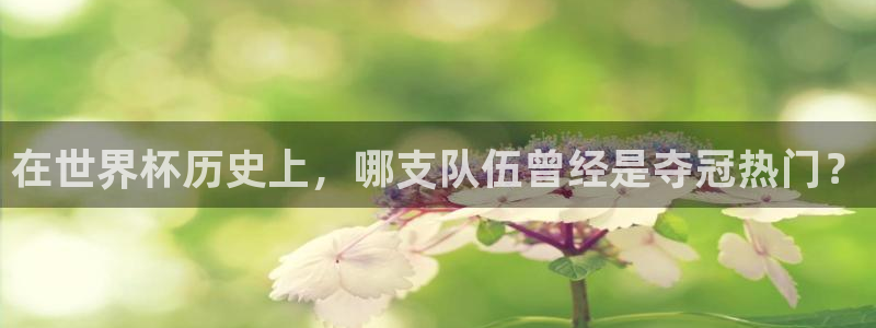 2026世亚预赛赛程表：在世界杯历史上，哪支队伍曾经是夺冠热门？