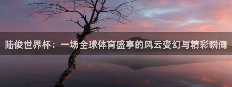 2026年足球世界杯赛程时间表：陆俊世界杯：一场全球体育盛事的风云变幻与精彩瞬间