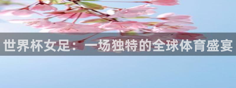世界杯系列赛：世界杯女足：一场独特的全球体育盛宴