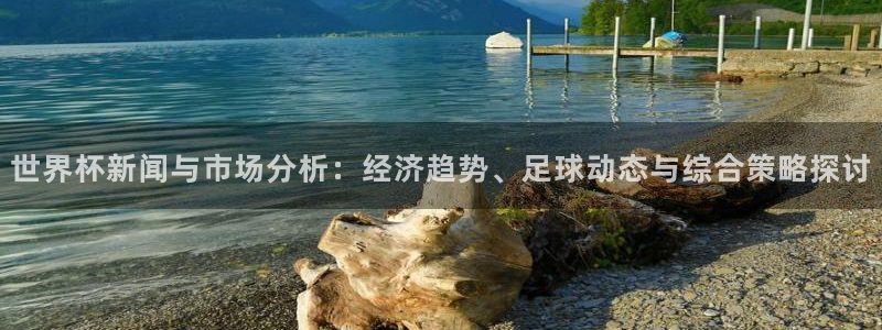 世界杯预选赛欧洲区赛程：世界杯新闻与市场分析：经济趋势、足球动态与综合策略探讨