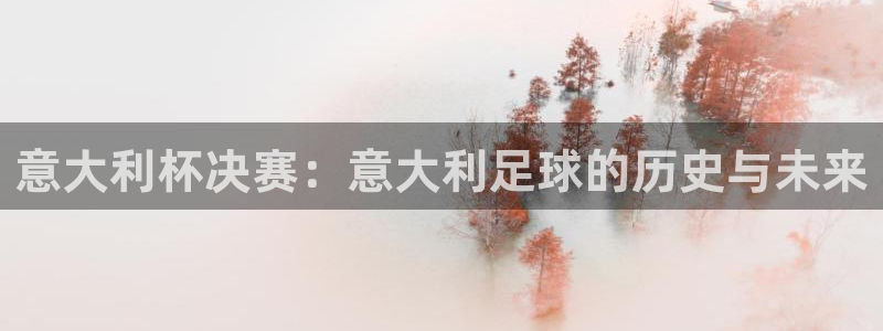世界杯直播网：意大利杯决赛：意大利足球的历史与未来