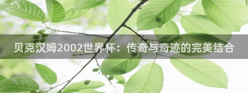 世界杯比赛时间：贝克汉姆2002世界杯：传奇与奇迹的完美结合