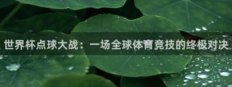世界杯葡萄牙赛程：世界杯点球大战：一场全球体育竞技的终极对决