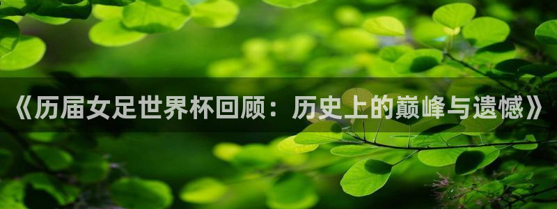 今年的世界杯：《历届女足世界杯回顾：历史上的巅峰与遗憾》