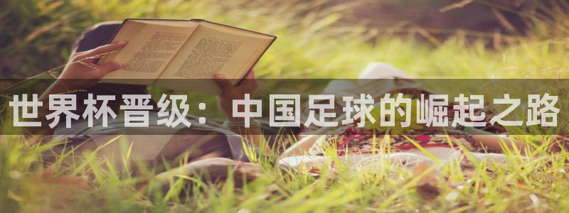 2026年世界杯赛程：世界杯晋级：中国足球的崛起之路