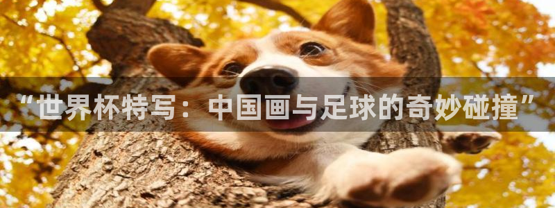 世界杯赛程表2026：“世界杯特写：中国画与足球的奇妙碰撞”