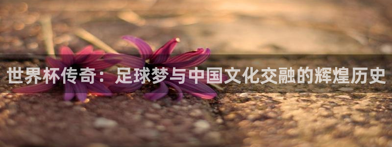 国际足联世界杯：世界杯传奇：足球梦与中国文化交融的辉煌历史
