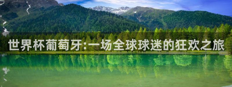 世界杯预选赛欧洲：世界杯葡萄牙:一场全球球迷的狂欢之旅