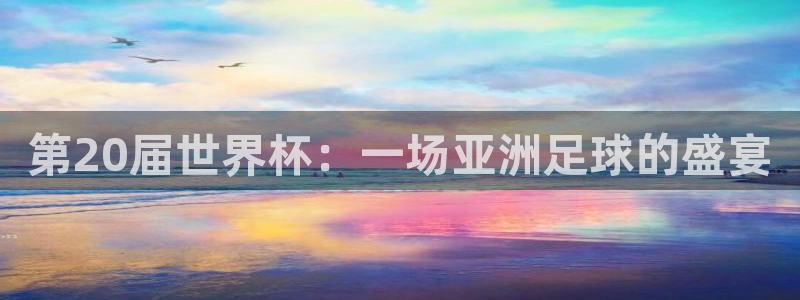 欧洲世界杯预选赛赛程：第20届世界杯：一场亚洲足球的盛宴
