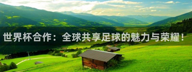 世界杯足球赛：世界杯合作：全球共享足球的魅力与荣耀！