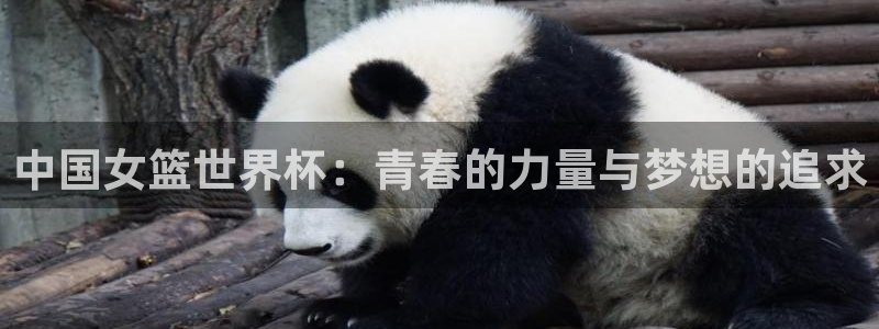 法国杯2026赛程表：中国女篮世界杯：青春的力量与梦想的追求