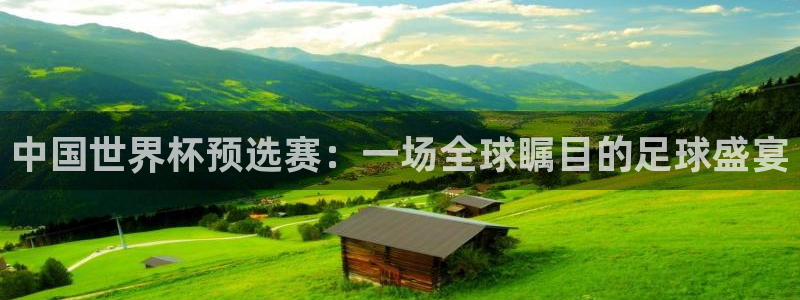 2006年世界杯冠军：中国世界杯预选赛：一场全球瞩目的足球盛宴