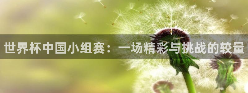 男足世界杯预选赛赛程：世界杯中国小组赛：一场精彩与挑战的较量