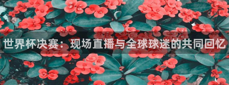 世界杯预选赛亚洲：世界杯决赛：现场直播与全球球迷的共同回忆